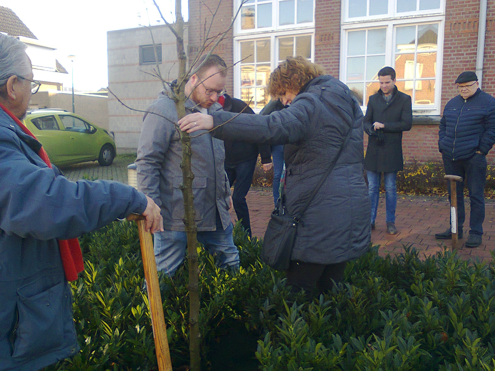 Planting Lindeboom in Loon op Zand